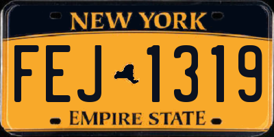 NY license plate FEJ1319