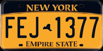 NY license plate FEJ1377