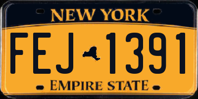 NY license plate FEJ1391
