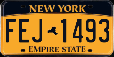 NY license plate FEJ1493