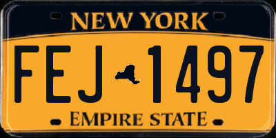 NY license plate FEJ1497