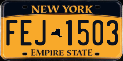 NY license plate FEJ1503