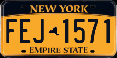 NY license plate FEJ1571