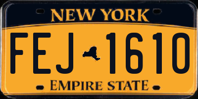 NY license plate FEJ1610
