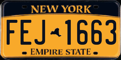 NY license plate FEJ1663
