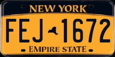 NY license plate FEJ1672