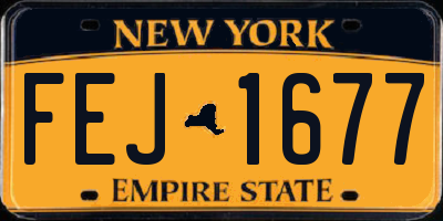 NY license plate FEJ1677