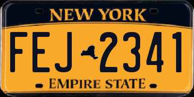 NY license plate FEJ2341