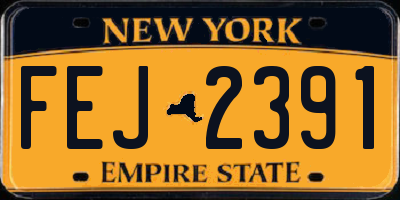 NY license plate FEJ2391