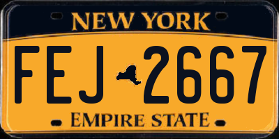 NY license plate FEJ2667