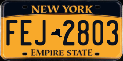 NY license plate FEJ2803