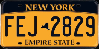 NY license plate FEJ2829
