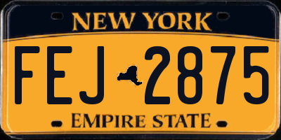 NY license plate FEJ2875