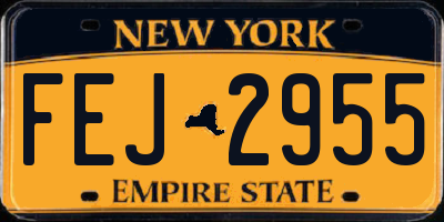 NY license plate FEJ2955
