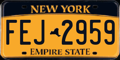 NY license plate FEJ2959