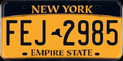 NY license plate FEJ2985