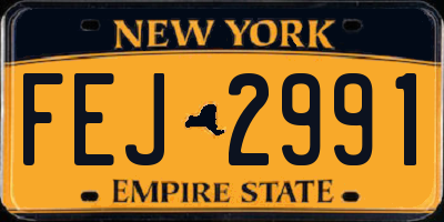 NY license plate FEJ2991
