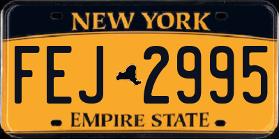 NY license plate FEJ2995