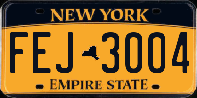 NY license plate FEJ3004