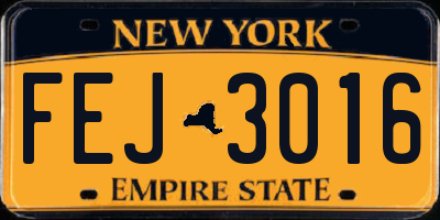 NY license plate FEJ3016