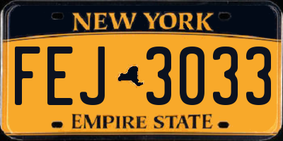 NY license plate FEJ3033