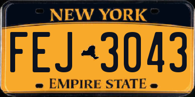 NY license plate FEJ3043