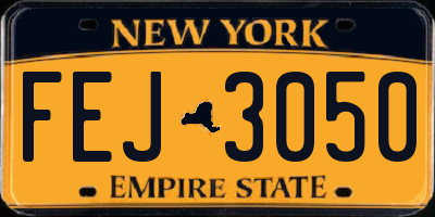 NY license plate FEJ3050