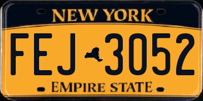 NY license plate FEJ3052