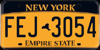 NY license plate FEJ3054