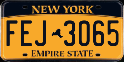 NY license plate FEJ3065