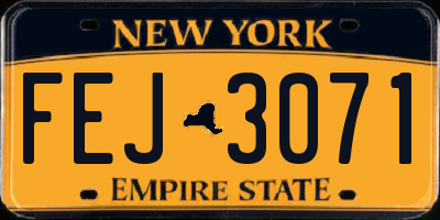 NY license plate FEJ3071