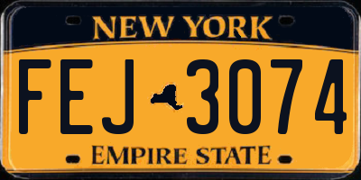 NY license plate FEJ3074