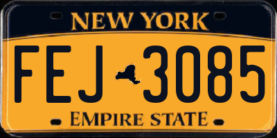 NY license plate FEJ3085