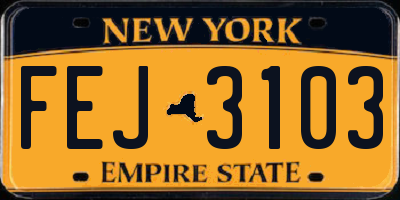 NY license plate FEJ3103