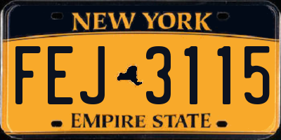 NY license plate FEJ3115