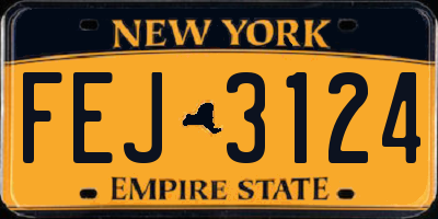 NY license plate FEJ3124