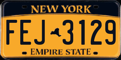 NY license plate FEJ3129