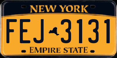 NY license plate FEJ3131