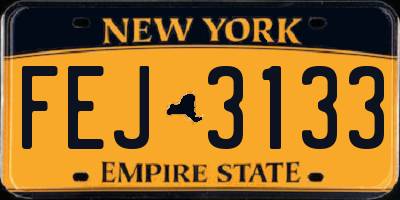 NY license plate FEJ3133