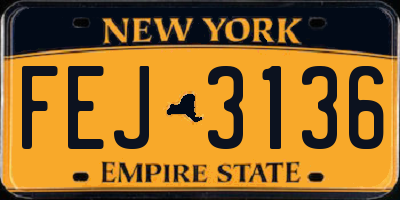 NY license plate FEJ3136