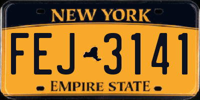 NY license plate FEJ3141