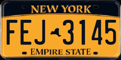 NY license plate FEJ3145