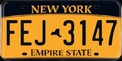 NY license plate FEJ3147