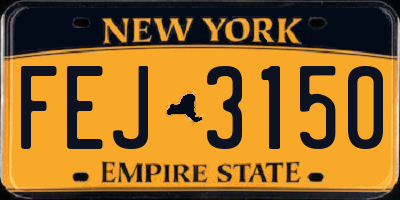 NY license plate FEJ3150