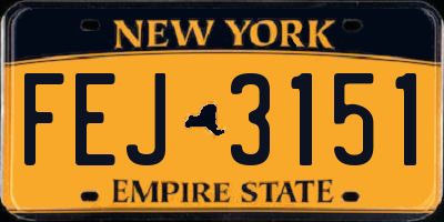 NY license plate FEJ3151