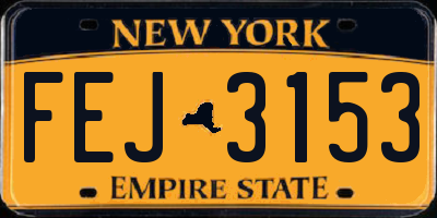 NY license plate FEJ3153