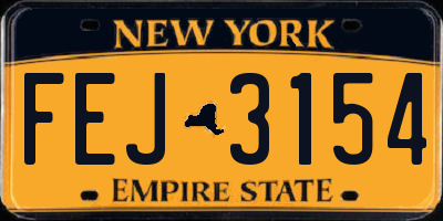 NY license plate FEJ3154
