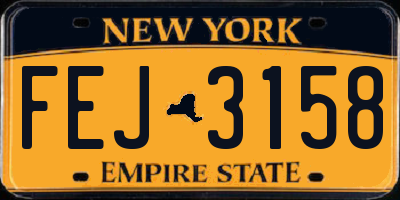 NY license plate FEJ3158