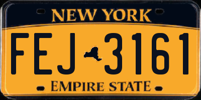 NY license plate FEJ3161