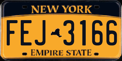 NY license plate FEJ3166